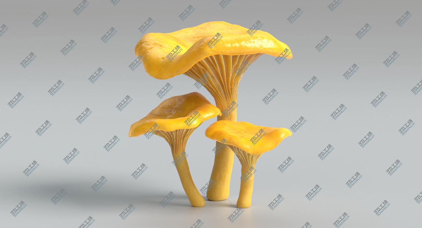 images/goods_img/202105072/Chanterelle Mushrooms/2.jpg